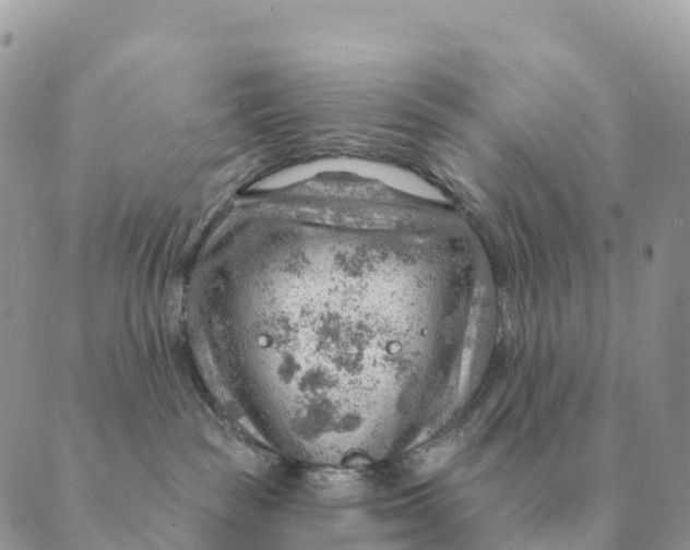 X0000088830189200706281805