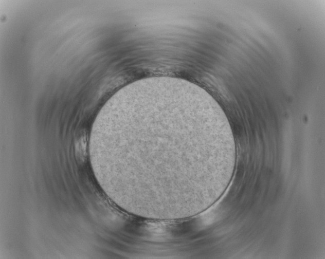 X0000088830190200706281805