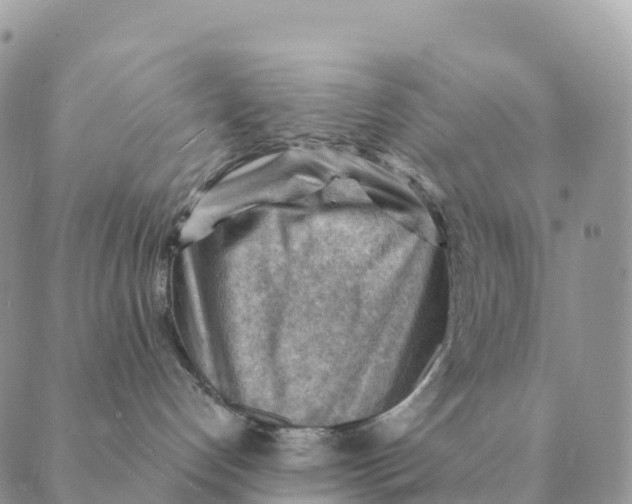 X0000088830192200706281805