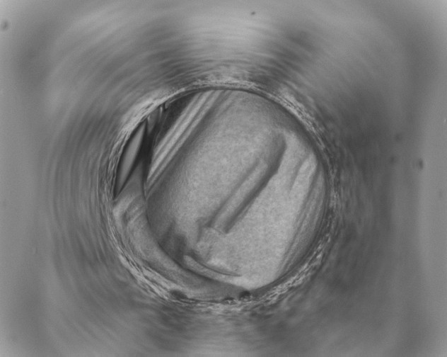 X0000088830193200706281804