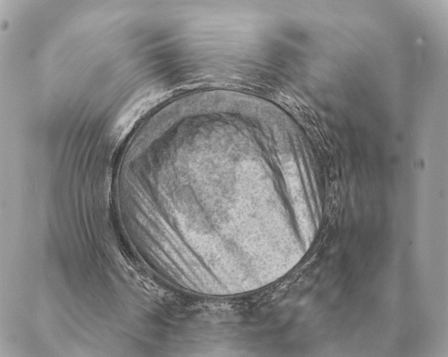 X0000088830194200706281804