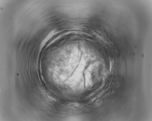 X0000088830195200706281804