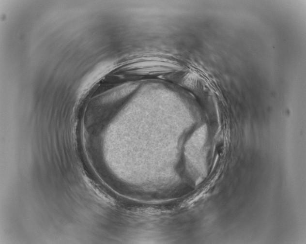 X0000088830197200706281804