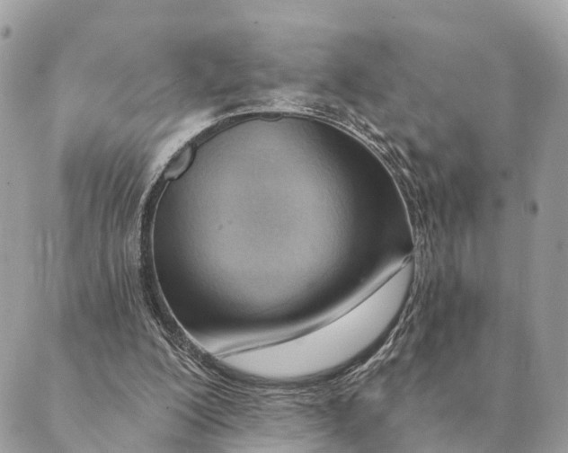 X0000088830200200706281804