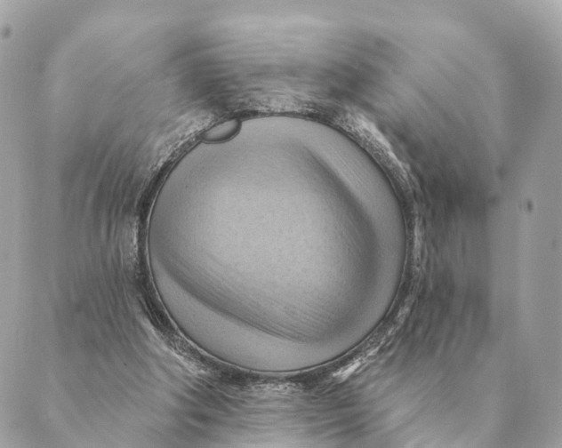 X0000088830202200706281804