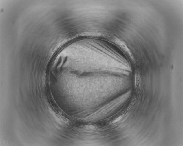 X0000088830204200706281804