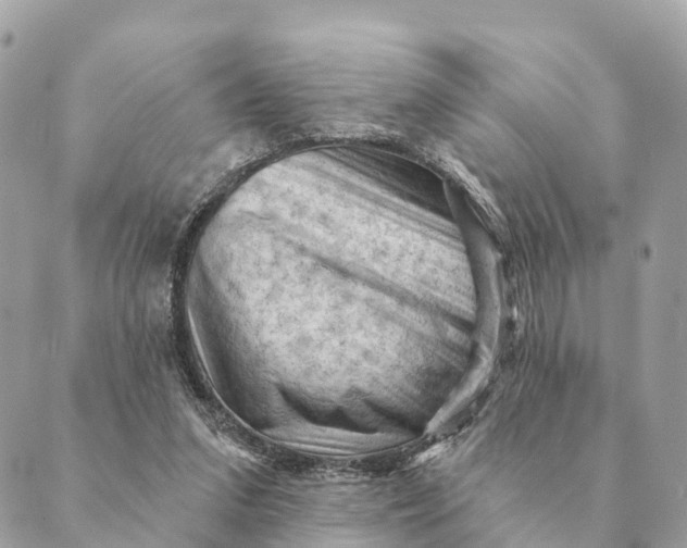 X0000088830207200706281804