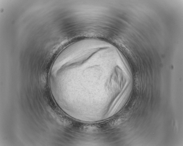 X0000088830208200706281804