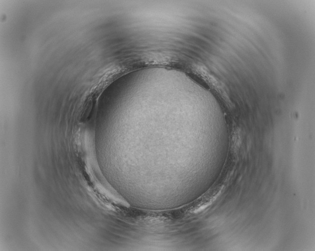 X0000088830209200706281804