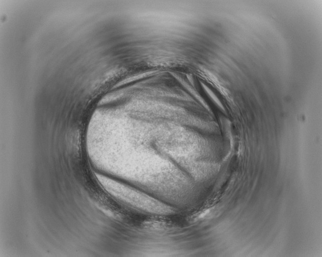 X0000088830211200706281804