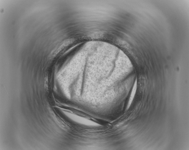 X0000088830212200706281804