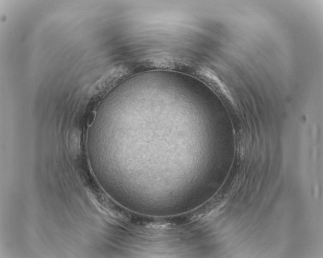 X0000088830213200706281804