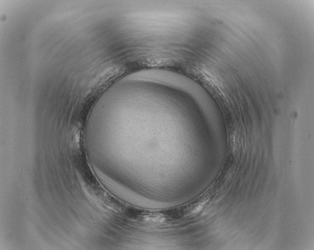 X0000088830214200706281804