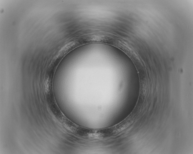 X0000088830216200706281804