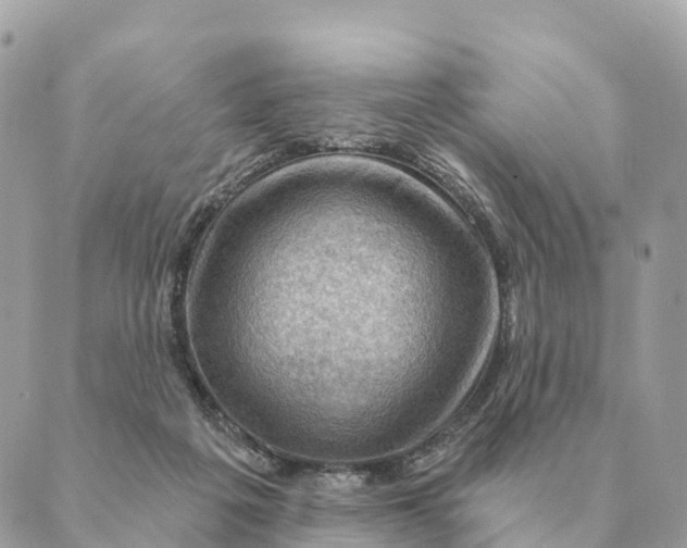 X0000088830217200706281804