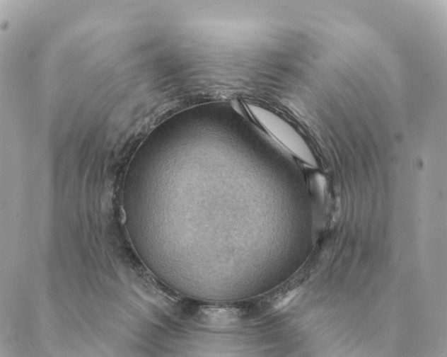 X0000088830221200706281804