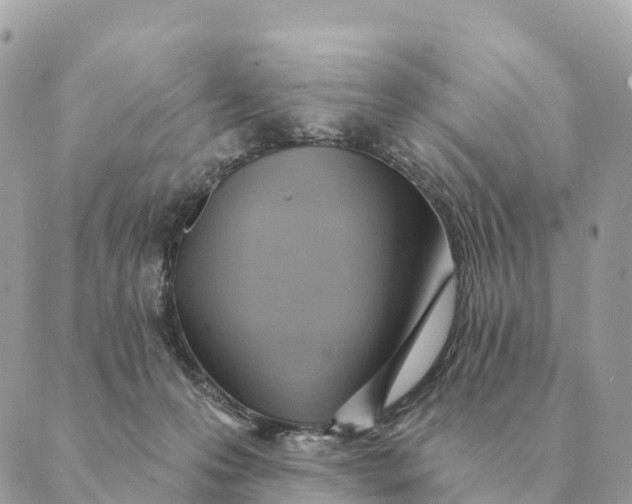 X0000088830223200706281804