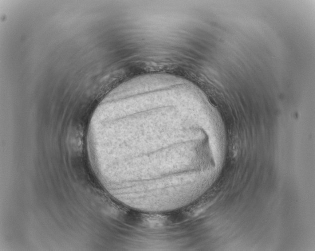 X0000088830226200706281804