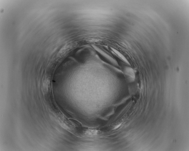 X0000088830227200706281804