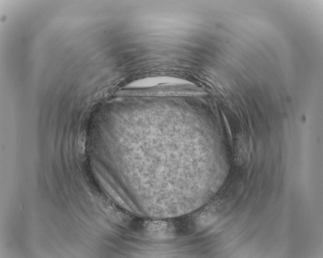 X0000088830230200706281804