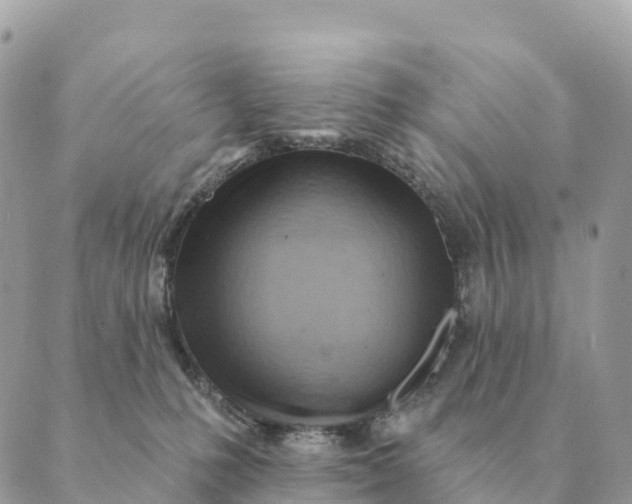 X0000088830231200706281804