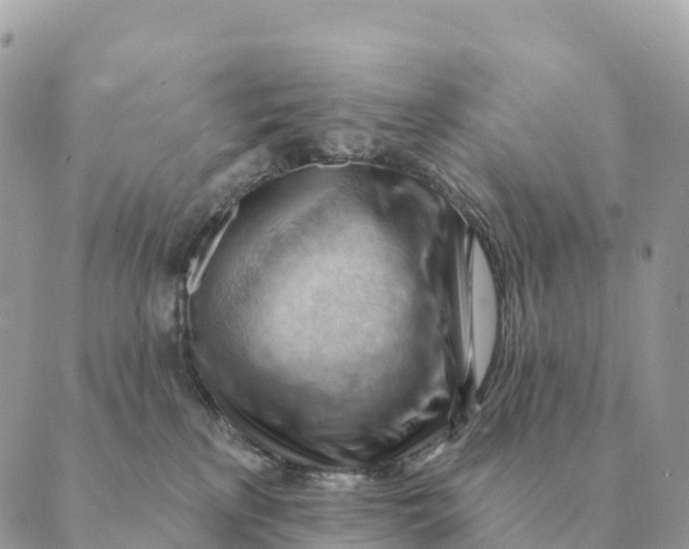 X0000088830233200706281804