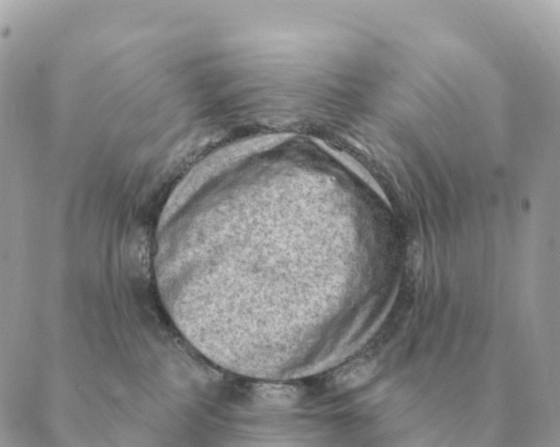 X0000088830234200706281804