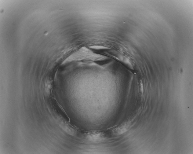 X0000088830235200706281804