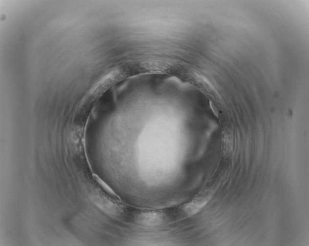 X0000088830237200706281804