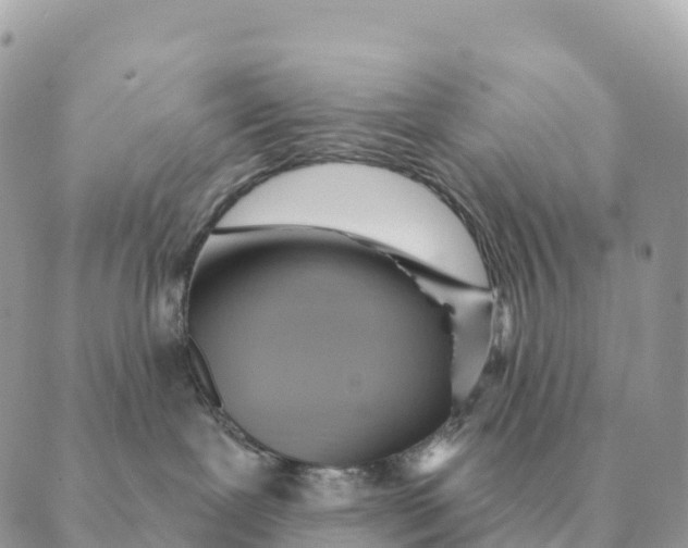 X0000088830239200706281804