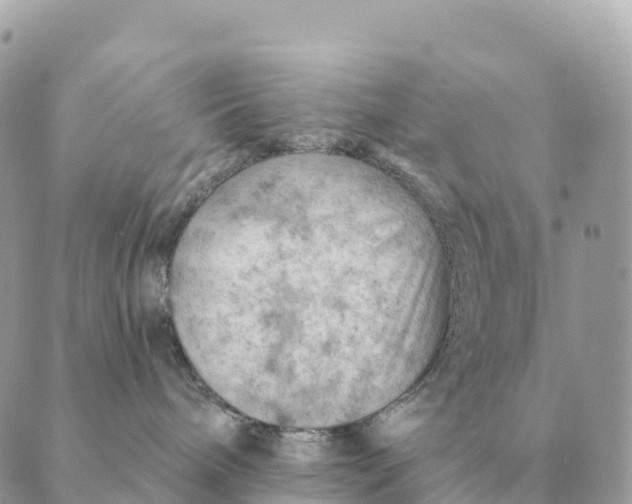 X0000088830240200706281804