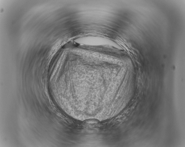 X0000088830241200706281803