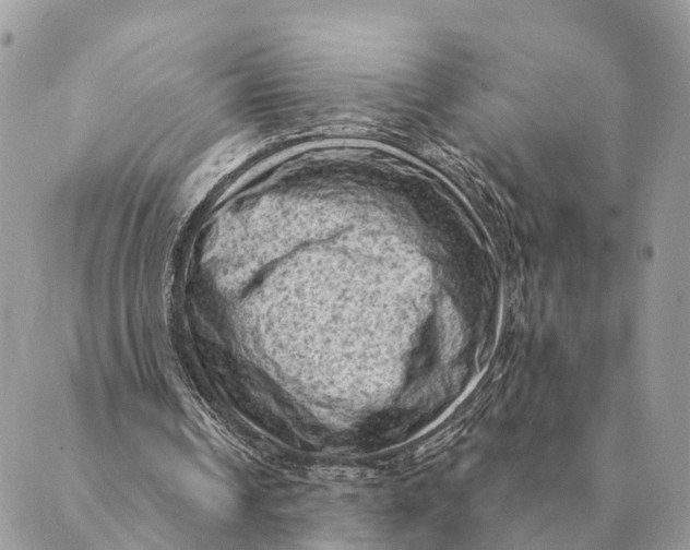 X0000088830242200706281803