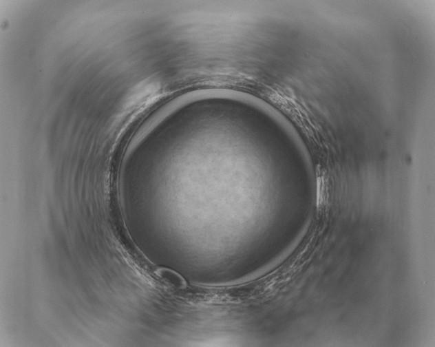 X0000088830243200706281803