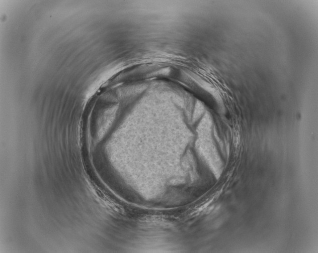 X0000088830244200706281803