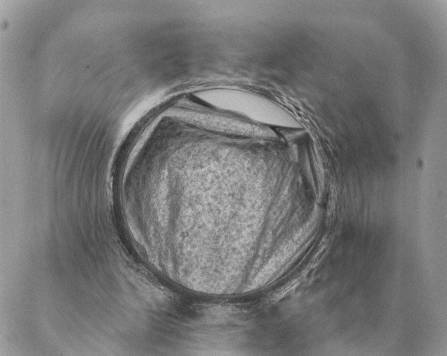 X0000088830246200706281803