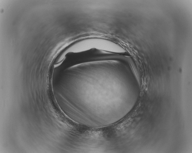 X0000088830247200706281803