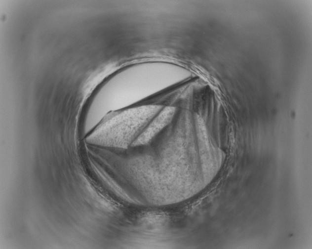 X0000088830248200706281803