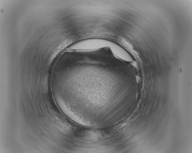 X0000088830250200706281803