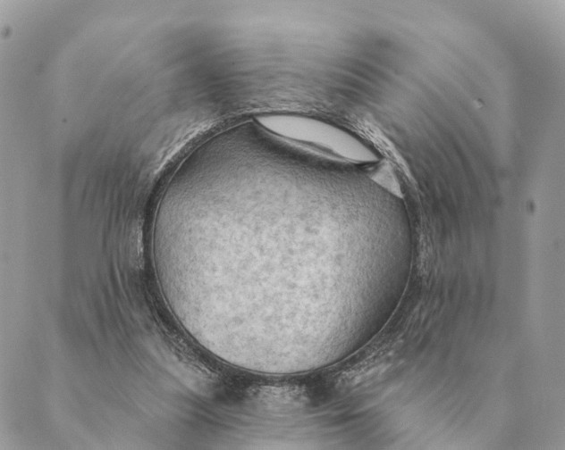 X0000088830251200706281803