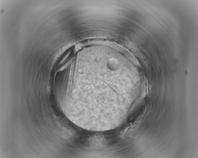 X0000088830252200706281803