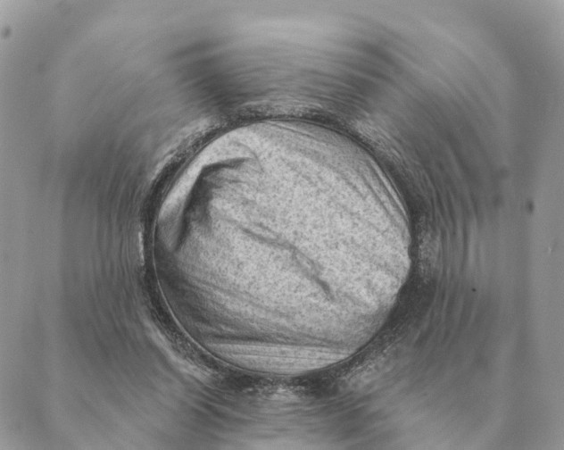 X0000088830254200706281803