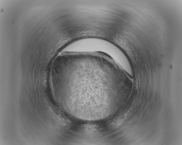 X0000088830255200706281803