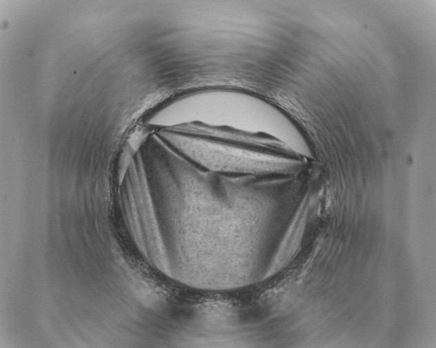 X0000088830256200706281803