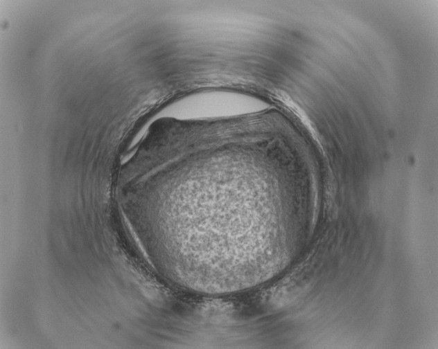 X0000088830257200706281803