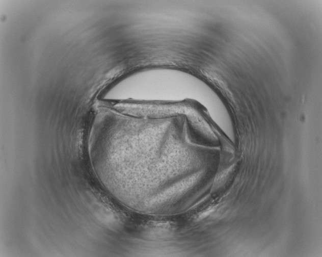 X0000088830260200706281803