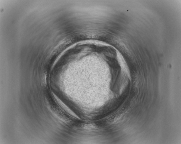 X0000088830262200706281803