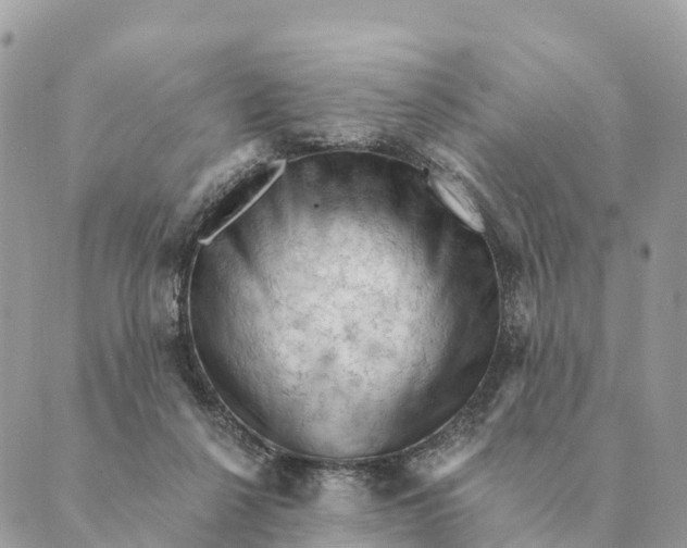 X0000088830264200706281803