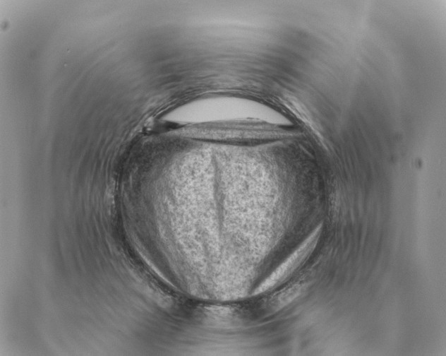 X0000088830265200706281803