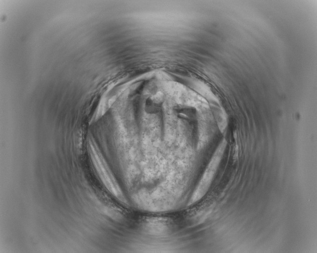 X0000088830268200706281803